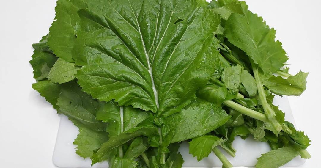 Mustard leaf: what it is, benefits and how…